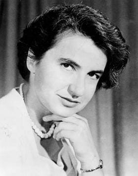 Spotlight on: Rosalind Franklin