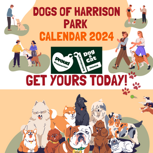 Dogs of Harrison Park Calendar 2024